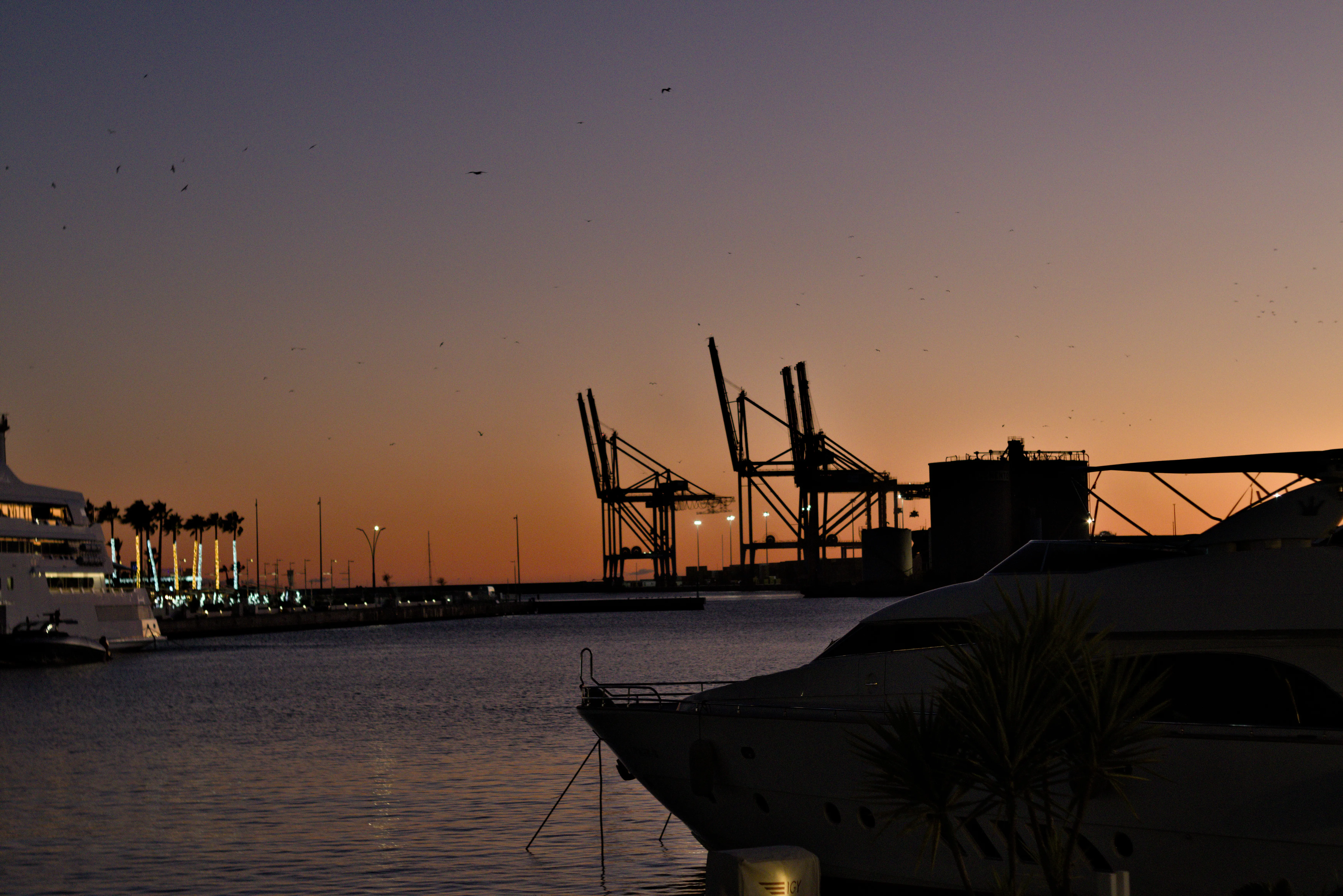 Zenith Helios-77M-4 1,850 (VOMZ) - _I4A0160.webp